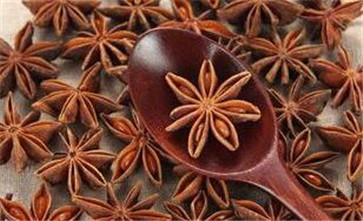調味品大料八角圖片 調味品大料八角圖片